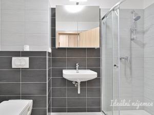 Pronájem bytu 1+kk, Brno, Táborská, 44 m2