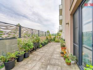 Prodej bytu 3+kk, Plzeň - Bolevec, U Velkého rybníka, 81 m2