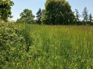 Prodej pozemku pro bydlení, Anenská Studánka, 4273 m2