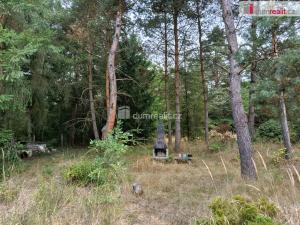 Pronájem rodinného domu, Týnec nad Sázavou - Chrást nad Sázavou, 100 m2