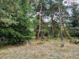 Pronájem rodinného domu, Týnec nad Sázavou - Chrást nad Sázavou, 100 m2
