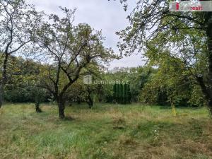 Pronájem rodinného domu, Týnec nad Sázavou - Chrást nad Sázavou, 100 m2
