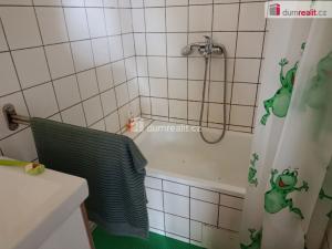 Pronájem rodinného domu, Týnec nad Sázavou - Chrást nad Sázavou, 100 m2