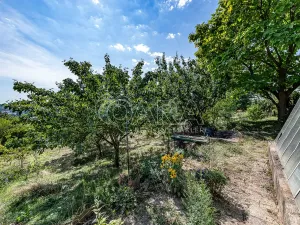 Prodej chaty, Kralupy nad Vltavou, 14 m2