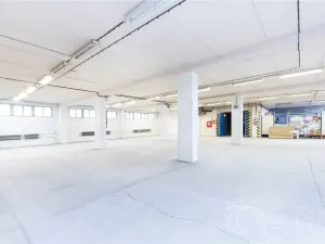 Pronájem skladu, Planá nad Lužnicí, Chýnovská, 1324 m2