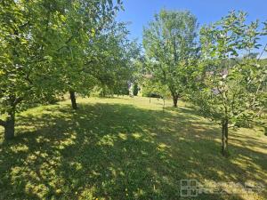 Prodej rodinného domu, Tršice - Přestavlky, 145 m2