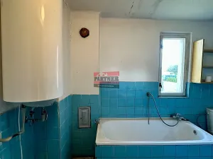 Prodej rodinného domu, Veselí nad Lužnicí, Alešovo nábřeží, 110 m2