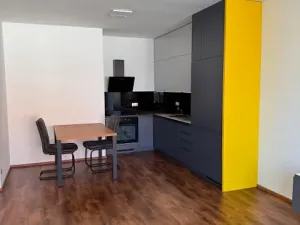 Pronájem bytu 2+kk, Praha - Libeň, Kurta Konráda, 72 m2