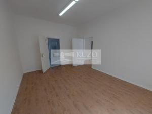 Pronájem bytu 5+1, Praha, Na Březince, 150 m2