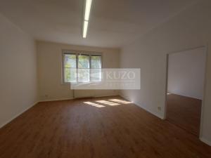 Pronájem bytu 5+1, Praha, Na Březince, 150 m2