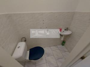 Pronájem bytu 5+1, Praha, Na Březince, 150 m2