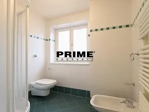 Pronájem bytu 5+1, Praha - Malá Strana, Újezd, 265 m2