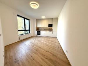 Pronájem bytu 2+kk, Praha - Nusle, Muzikova, 44 m2