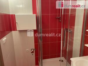 Pronájem bytu 1+1, Zruč nad Sázavou, Na Výsluní, 31 m2