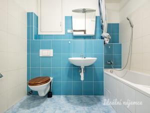 Pronájem bytu 2+kk, Praha - Žižkov, Hartigova, 53 m2