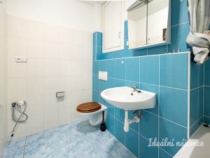Pronájem bytu 2+kk, Praha - Žižkov, Hartigova, 53 m2