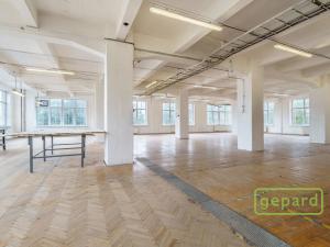 Prodej výrobních prostor, Aš, Tyršova, 4500 m2