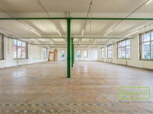 Prodej výrobních prostor, Aš, Tyršova, 4500 m2