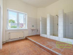 Prodej výrobních prostor, Aš, Tyršova, 4500 m2