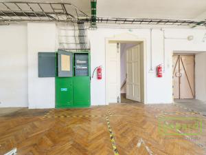 Prodej výrobních prostor, Aš, Tyršova, 4500 m2