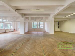 Prodej výrobních prostor, Aš, Tyršova, 4500 m2