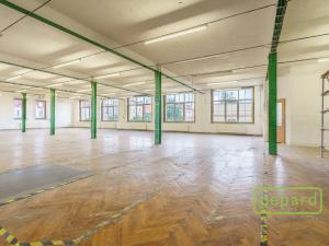 Prodej výrobních prostor, Aš, Tyršova, 4500 m2