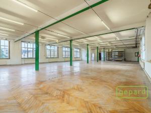 Prodej výrobních prostor, Aš, Tyršova, 4500 m2