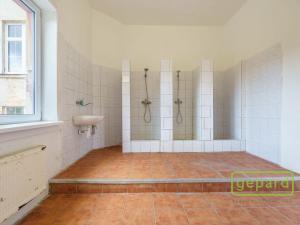 Prodej výrobních prostor, Aš, Tyršova, 4500 m2