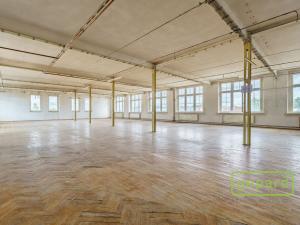 Prodej výrobních prostor, Aš, Tyršova, 4500 m2