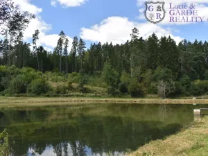 Prodej rybníku, Božetice, 11677 m2