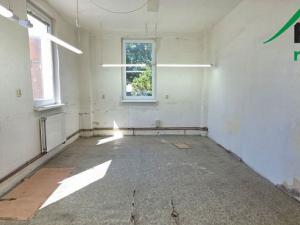 Pronájem výrobních prostor, Planá, 249 m2