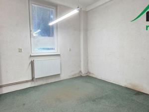 Pronájem výrobních prostor, Planá, 249 m2