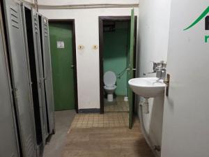 Pronájem výrobních prostor, Planá, 249 m2