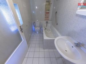 Prodej rodinného domu, Nové Město pod Smrkem, Havířská, 240 m2