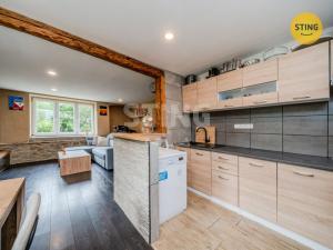 Prodej vícegeneračního domu, Potštát - Kovářov, 190 m2