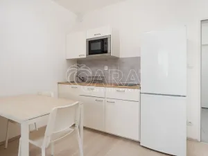 Pronájem bytu 1+kk, Plzeň - Jižní Předměstí, Technická, 27 m2