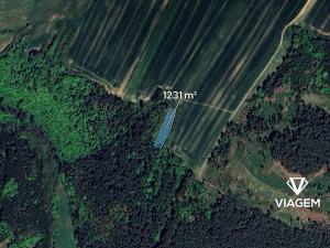 Prodej lesa, Svatoslav, 1231 m2
