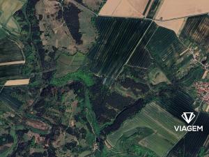 Prodej lesa, Svatoslav, 1231 m2
