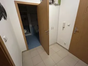 Pronájem bytu 1+kk, Brno, Francouzská, 39 m2