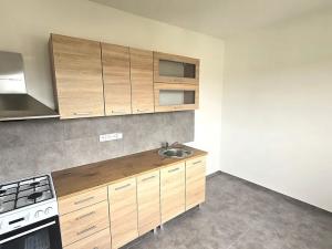 Pronájem bytu 1+1, Kralupy nad Vltavou, nám. Mládežníků, 38 m2