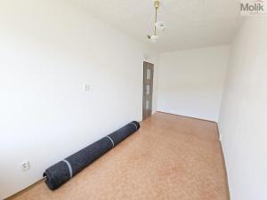 Prodej bytu 3+1, Litvínov - Janov, Hamerská, 69 m2
