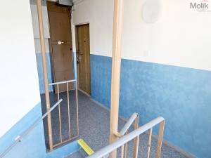 Prodej bytu 3+1, Litvínov - Janov, Hamerská, 69 m2