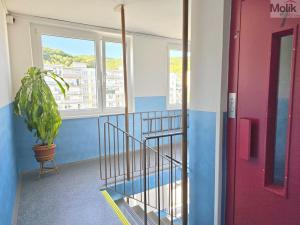 Prodej bytu 3+1, Litvínov - Janov, Hamerská, 69 m2