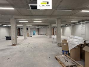 Pronájem výrobních prostor, 550 m2