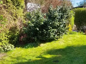 Prodej chaty, Dubovice, 36 m2