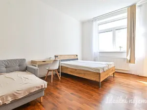 Pronájem bytu 1+1, Brno, Francouzská, 48 m2