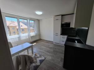 Pronájem bytu 2+kk, Český Krumlov - Latrán, Špičák, 42 m2