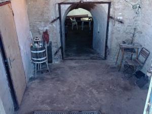 Prodej vinného sklepa, Novosedly, 42 m2