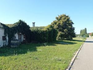 Prodej vinného sklepa, Novosedly, 42 m2