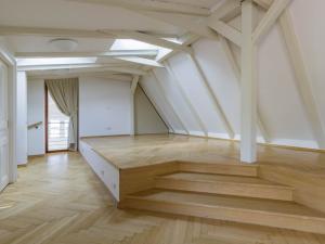 Pronájem bytu 5+1, Praha - Malá Strana, Újezd, 286 m2